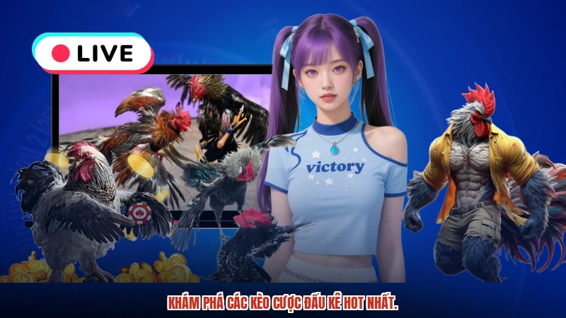 Khám phá các kèo cược đấu kê hot nhất.