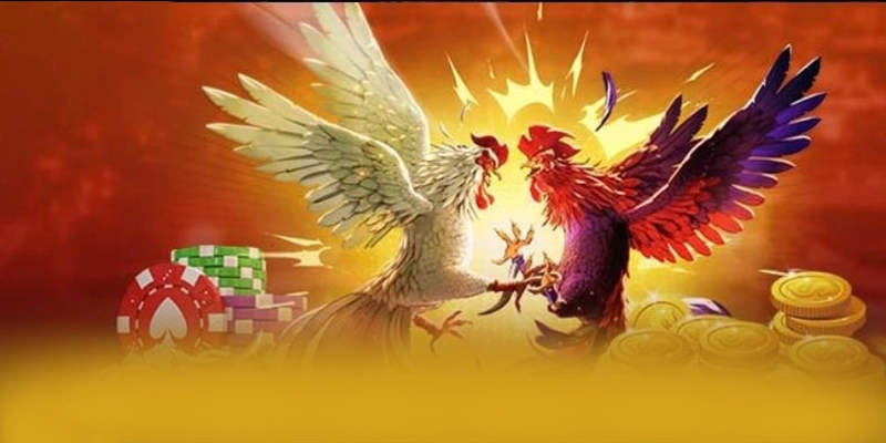 Điểm khác biệt của 8XBET trên thị trường Điểm khác biệt của 8XBET trên thị trường